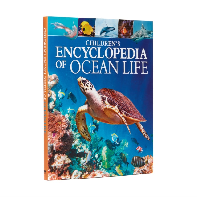 Book cover of: Children's Encyclopedia of Ocean Life. By: Claudia Martin