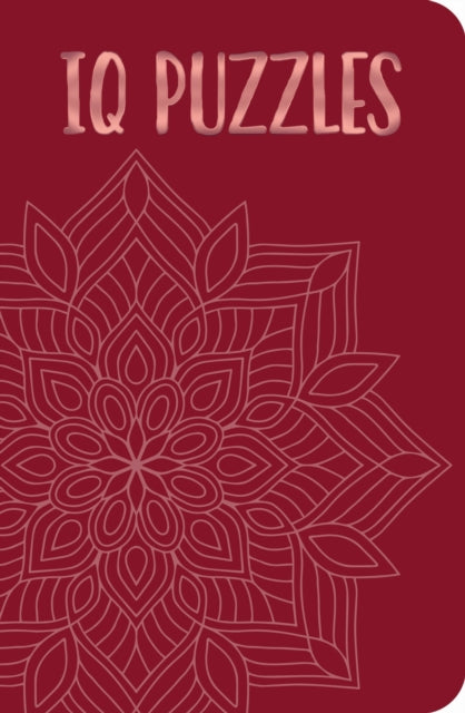 Book cover of: IQ Puzzles