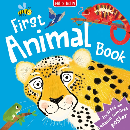 Book cover of: First Animal Book
