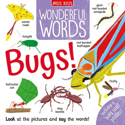 Wonderful Words: Bugs!
