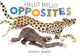 Book cover of: Hello Hello Opposites