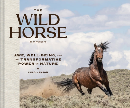 Book cover of: Wild Horse Effect. By: Chad Hanson