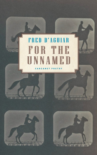 Book cover of: For the Unnamed. By: D'AGUIAR