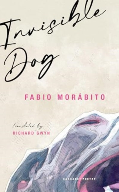 Book cover of: Invisible Dog