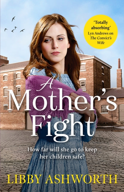 Book cover of: Mother's Fight. By: Libby Ashworth