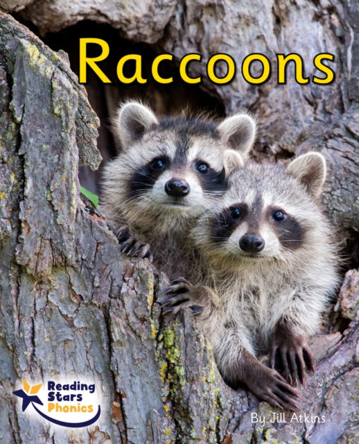 Book cover of: Raccoons. By: Jill Atkins