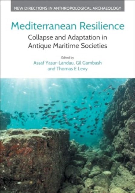 Book cover of: Mediterranean Resilience. By: Gil Gambash