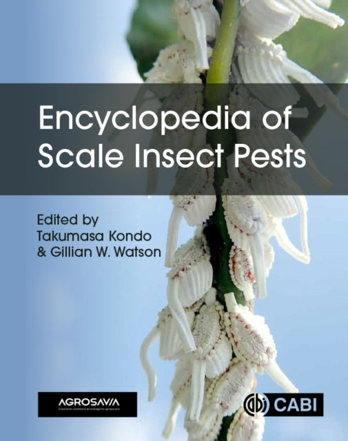 Book cover of: Encyclopedia of Scale Insect Pests. By: Takumasa Kondo
