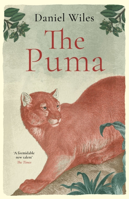 Puma