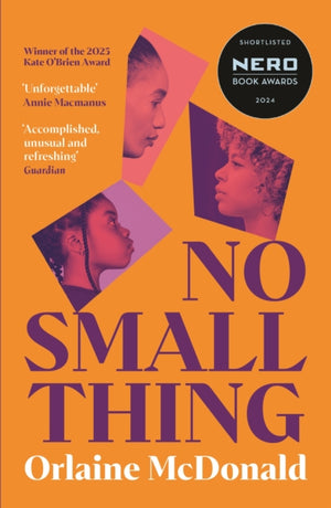 No Small Thing, 'One of the best debut novels I’ve read in recent years' Bernardine Evaristo