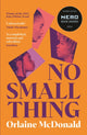 No Small Thing, 'One of the best debut novels I’ve read in recent years' Bernardine Evaristo 9781800815599 Orlaine McDonald