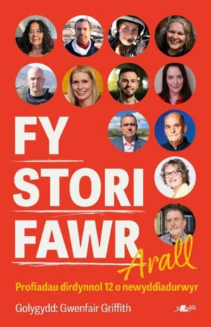 Fy Stori Fawr Arall