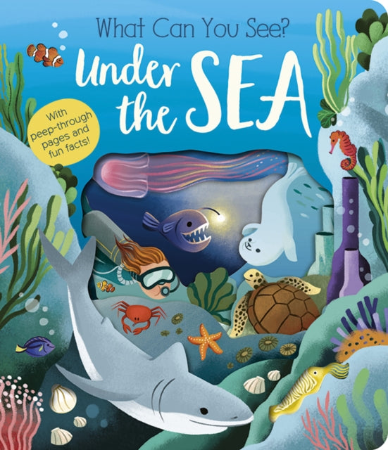 What Can You See? Under the Sea 9781801045551 Molly Littleboy