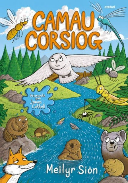 Book cover of: Camau Corsiog. By: Meilyr Siôn
