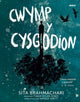Book cover of: Darllen yn Well: Cwymp y Cysgodion