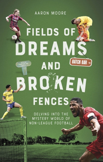 Book cover of: Fields of Dreams and Broken Fences. By: Aaron Moore