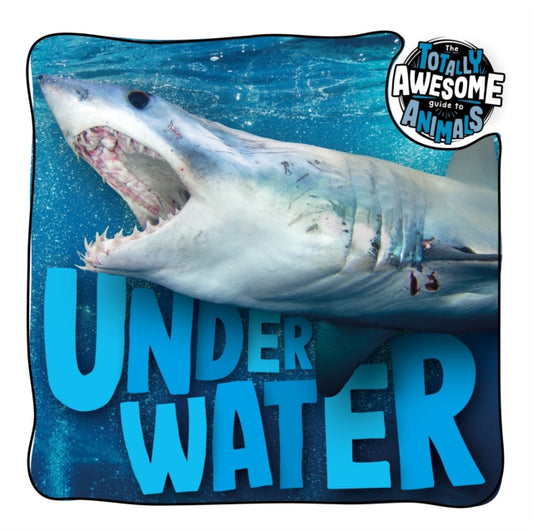 Book cover of: Under Water. By: Brenda McHale; Dan Scase