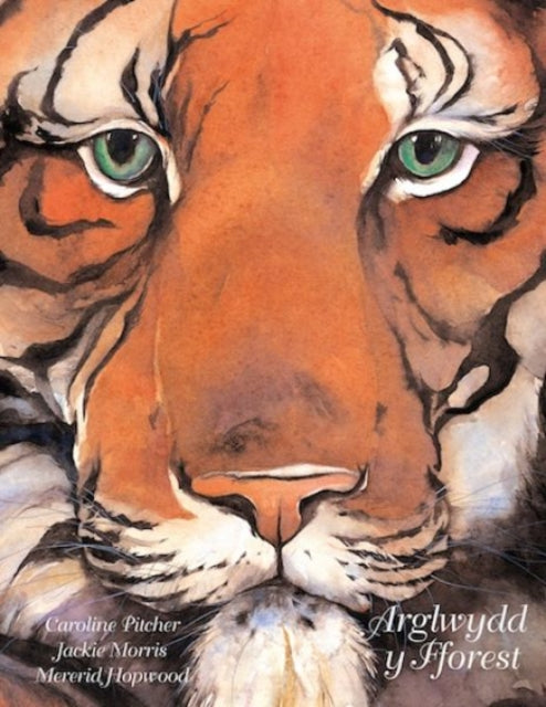 Book cover of: Arglwydd y Fforest. By: Caroline Pitcher