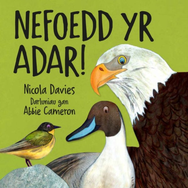 Book cover of: Nefoedd Yr Adar!