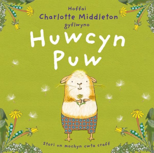 Book cover of: Huwcyn Puw