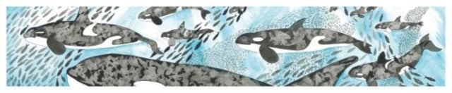 Book cover of: Orcas Card