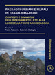Book cover of: Paesaggi urbani e rurali in trasformazione. Contesti e dinamiche dell’insediamento letti alla luce della fonte archeologica. By: Fabio Fabiani