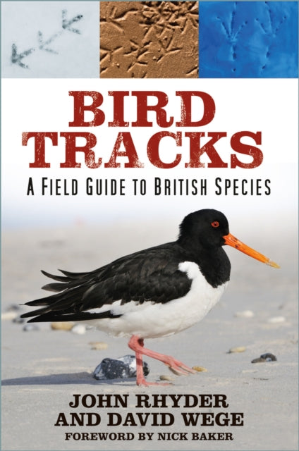Book cover of: Bird Tracks