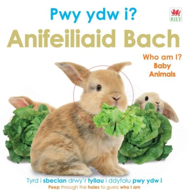 Book cover of: Pwy Ydw i? Anifeiliaid Bach / Who Am I? Baby Animals