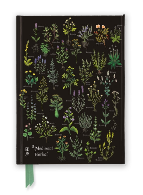 Anna Stead: A Medieval Herbal (Foiled Journal) 9781804179499 Flame Tree Studio