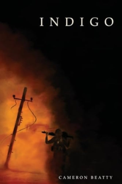 Book cover of: Indigo. By: Cameron Beatty