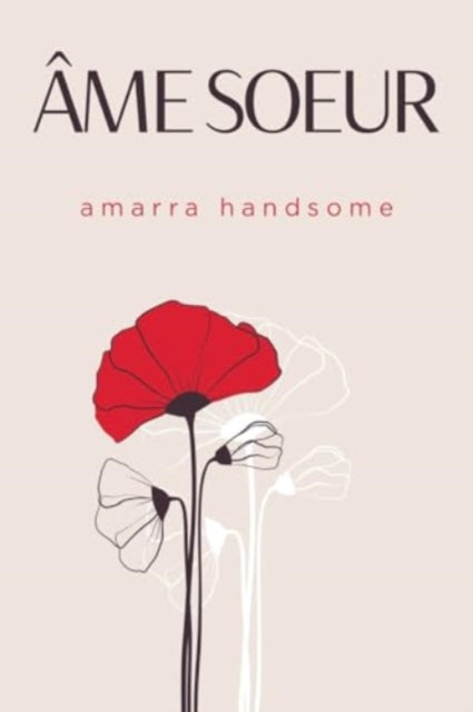 Book cover of: Ame Soeur