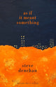 Book cover of: As if it Meant Something. By: Steve Denehan