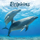 Book cover of: Dolphins Calendar 2026  Square Animal Wall Calendar - 16 Month