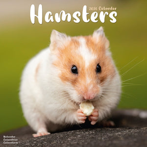 Hamsters Calendar 2026 Square Animal Wall Calendar - 16 Month
