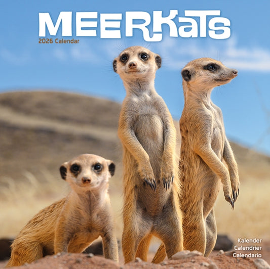 Book cover of: Meerkats Calendar 2026  Square Wildlife Safari Wall Calendar - 16 Month