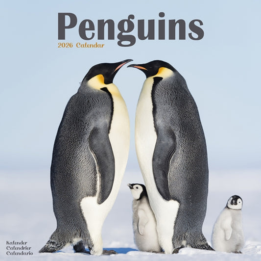 Book cover of: Penguins Calendar 2026  Square Animal Wall Calendar - 16 Month