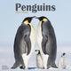 Book cover of: Penguins Calendar 2026  Square Animal Wall Calendar - 16 Month