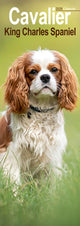 Book cover of: Cavalier King Charles Slim Calendar 2026  Dog Breed Slimline Calendar - 12 Month