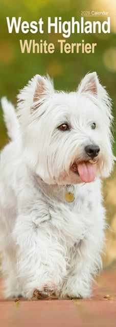 Book cover of: West Highland Terrier Slim Calendar 2026  Dog Breed Slimline Calendar - 12 Month