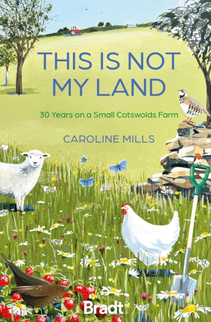 This is not my land