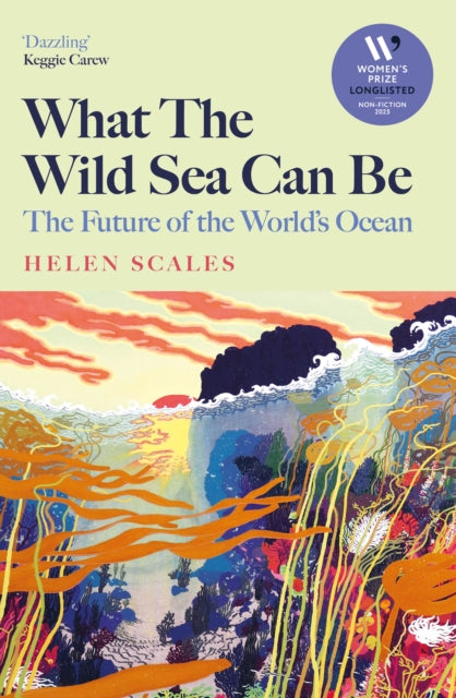 Book cover of: What the Wild Sea Can Be