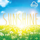 Book cover of: Sunshine