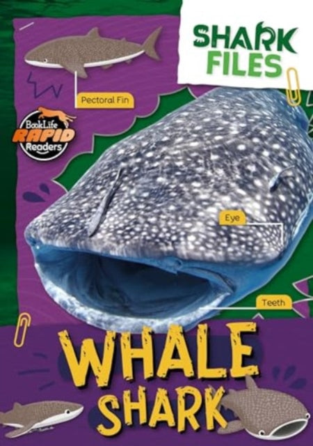 Book cover of: Whale Shark. By: Robin Twiddy; E.C. Andrews; Amy Li