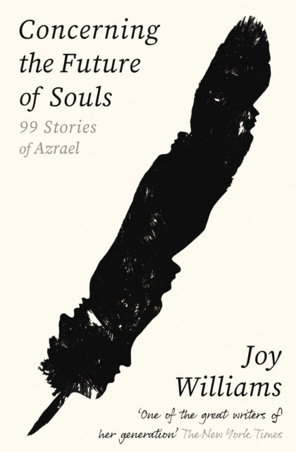 Concerning the Future of Souls, Ninety-Nine Stories of Azrael 9781805222538 Joy Williams