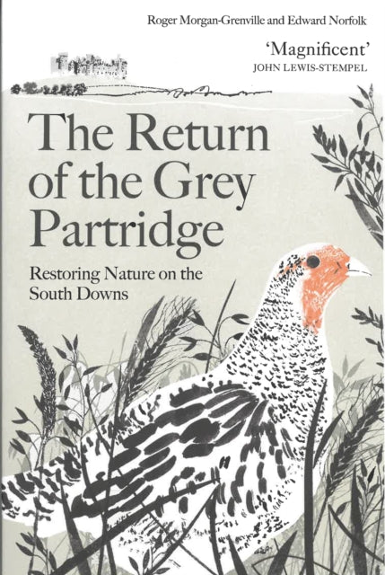 Return of the Grey Partridge, Restoring Nature on the South Downs 9781805223498 Roger Morgan-Grenville