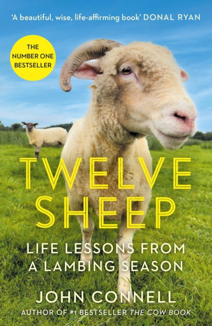 Book cover of: Twelve Sheep