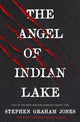 Book cover of: Angel of Indian Lake