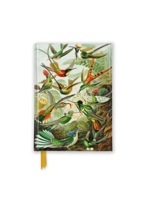 Book cover of: Ernst Haeckel: Hummingbirds (Foiled Pocket Journal)