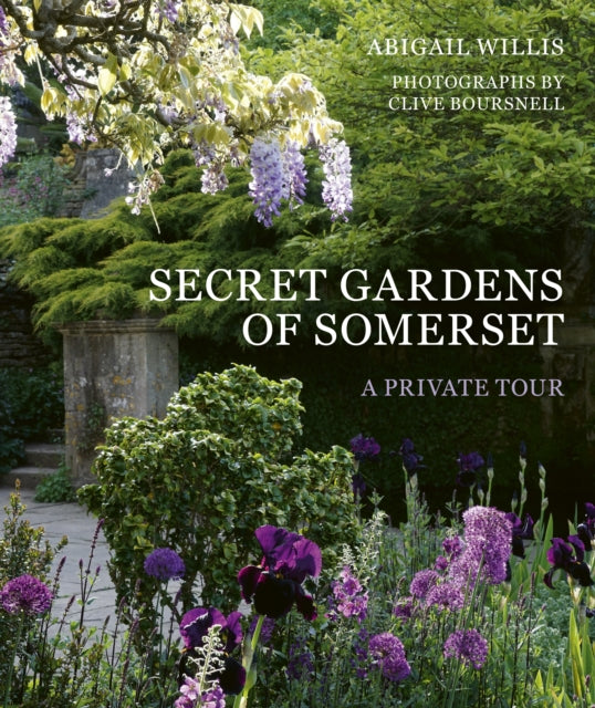 Secret Gardens of Somerset, A Private Tour 9781836004912 Abigail Willis