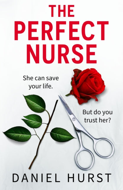 Book cover of: Perfect Nurse